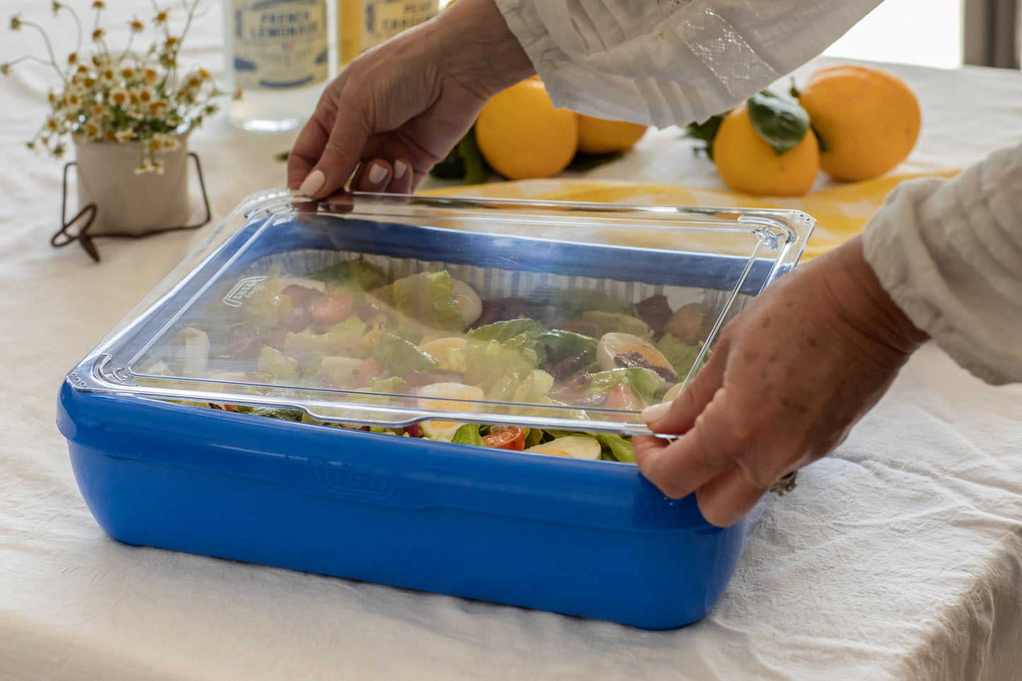 Clear cover for Classic & Premium Fancy Panz®.