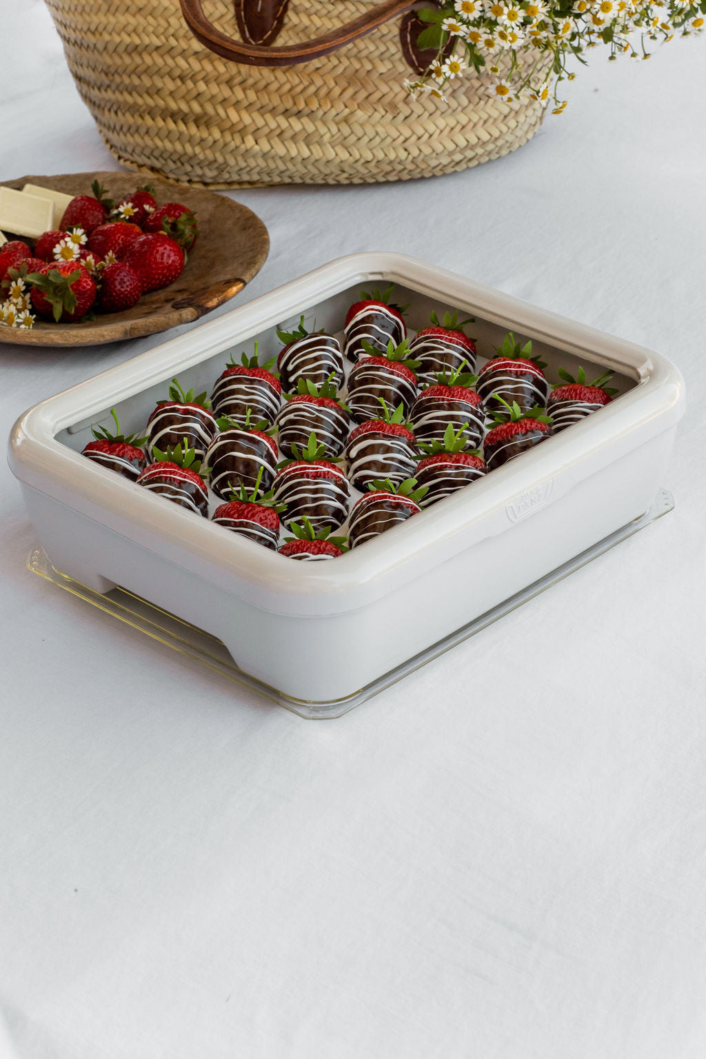 Deviled Egg Trayz Insert for Fancy Panz