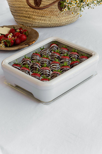Deviled Egg Trayz Insert for Fancy Panz